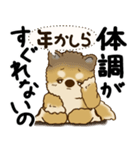 柴犬 『誰だって年を取るのよ』2025（個別スタンプ：21）