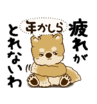 柴犬 『誰だって年を取るのよ』2025（個別スタンプ：22）