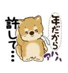 柴犬 『誰だって年を取るのよ』2025（個別スタンプ：23）