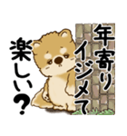 柴犬 『誰だって年を取るのよ』2025（個別スタンプ：24）