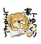 柴犬 『誰だって年を取るのよ』2025（個別スタンプ：25）
