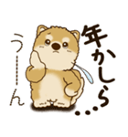 柴犬 『誰だって年を取るのよ』2025（個別スタンプ：26）