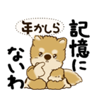 柴犬 『誰だって年を取るのよ』2025（個別スタンプ：27）