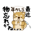 柴犬 『誰だって年を取るのよ』2025（個別スタンプ：28）