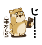 柴犬 『誰だって年を取るのよ』2025（個別スタンプ：29）