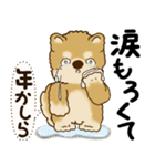 柴犬 『誰だって年を取るのよ』2025（個別スタンプ：30）