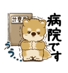 柴犬 『誰だって年を取るのよ』2025（個別スタンプ：31）