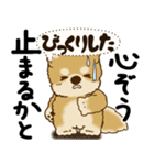 柴犬 『誰だって年を取るのよ』2025（個別スタンプ：33）