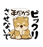 柴犬 『誰だって年を取るのよ』2025（個別スタンプ：34）