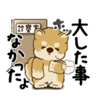 柴犬 『誰だって年を取るのよ』2025（個別スタンプ：35）