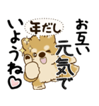 柴犬 『誰だって年を取るのよ』2025（個別スタンプ：36）