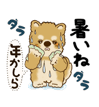柴犬 『誰だって年を取るのよ』2025（個別スタンプ：38）