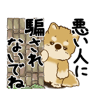 柴犬 『誰だって年を取るのよ』2025（個別スタンプ：39）