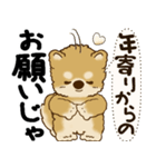 柴犬 『誰だって年を取るのよ』2025（個別スタンプ：40）