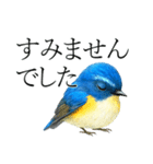 トリのおしゃべり7 - ルリビタキ（個別スタンプ：10）
