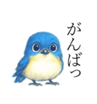 トリのおしゃべり7 - ルリビタキ（個別スタンプ：18）