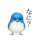 トリのおしゃべり7 - ルリビタキ（個別スタンプ：19）