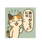 ゆるっと可愛い猫たちのスタンプ（個別スタンプ：6）