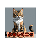 ゆるっと可愛い猫たちのスタンプ（個別スタンプ：13）
