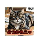 ゆるっと可愛い猫たちのスタンプ（個別スタンプ：16）