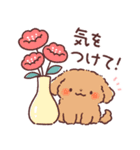 わんこず（いろいろ犬種）（個別スタンプ：12）