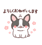わんこず（いろいろ犬種）（個別スタンプ：15）