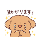わんこず（いろいろ犬種）（個別スタンプ：16）