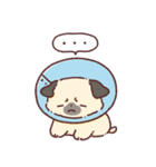 わんこず（いろいろ犬種）（個別スタンプ：30）