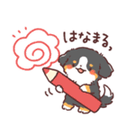 わんこず（いろいろ犬種）（個別スタンプ：34）