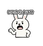 とにかくおみやげをねだるウサギ（個別スタンプ：17）