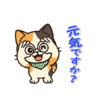 ミケにゃんの一年中使えるスタンプ（個別スタンプ：7）