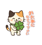 ミケにゃんの一年中使えるスタンプ（個別スタンプ：13）