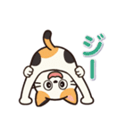 ミケにゃんの一年中使えるスタンプ（個別スタンプ：16）