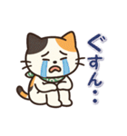 ミケにゃんの一年中使えるスタンプ（個別スタンプ：19）