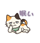 ミケにゃんの一年中使えるスタンプ（個別スタンプ：22）