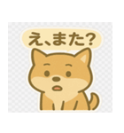 かわいい柴犬くんスタンプ（個別スタンプ：1）