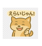 かわいい柴犬くんスタンプ（個別スタンプ：3）
