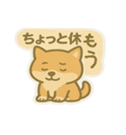 かわいい柴犬くんスタンプ（個別スタンプ：8）