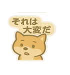 かわいい柴犬くんスタンプ（個別スタンプ：12）