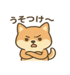 かわいい柴犬くんスタンプ（個別スタンプ：23）