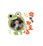 Maru's1008（個別スタンプ：3）