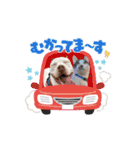 Maru's1008（個別スタンプ：6）