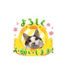 Maru's1008（個別スタンプ：10）