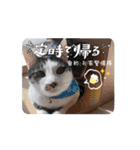 Maru's1008（個別スタンプ：14）