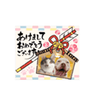Maru's1008（個別スタンプ：16）
