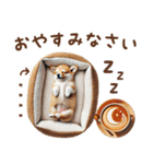 名入れ敬語の癒しコーギー（個別スタンプ：36）