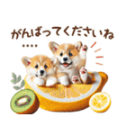 名入れ敬語の癒しコーギー（個別スタンプ：37）