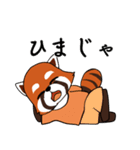 レッサーパンダの甘いおやつ（個別スタンプ：5）