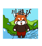 レッサーパンダの甘いおやつ（個別スタンプ：26）
