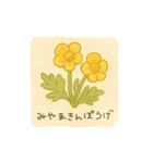 ナキウサギちゃん1（北海道 高山植物編)（個別スタンプ：20）